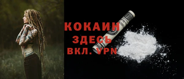 дурь Балахна