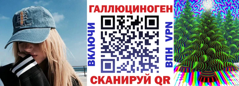 Псилоцибиновые грибы Psilocybine cubensis  Курчалой 